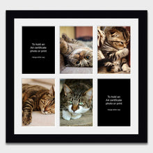 Load image into Gallery viewer, Picture Frame holds 6 A4 Certificates or Photos in a Black Wood Frame - Multi Photo Frames