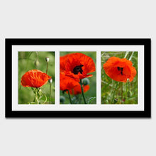 Load image into Gallery viewer, Picture Frame to hold 3 A4 certificates/photos in a Black Wooden Frame - Multi Photo Frames