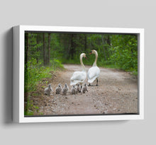 Load image into Gallery viewer, Canvas Floater Frames | Floating Canvas Tray Frames | 22mm Deep in White - Multi Photo Frames
