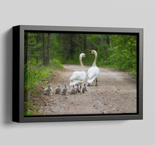 Load image into Gallery viewer, Canvas Floater Frames | Floating Canvas Tray Frames | 40mm Deep in Black - Multi Photo Frames
