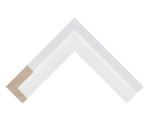 Load image into Gallery viewer, canvas Floater Frames | Floating Canvas Tray Frames | 40mm Deep in White - Multi Photo Frames
