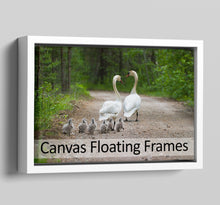 Load image into Gallery viewer, canvas Floater Frames | Floating Canvas Tray Frames | 40mm Deep in White - Multi Photo Frames
