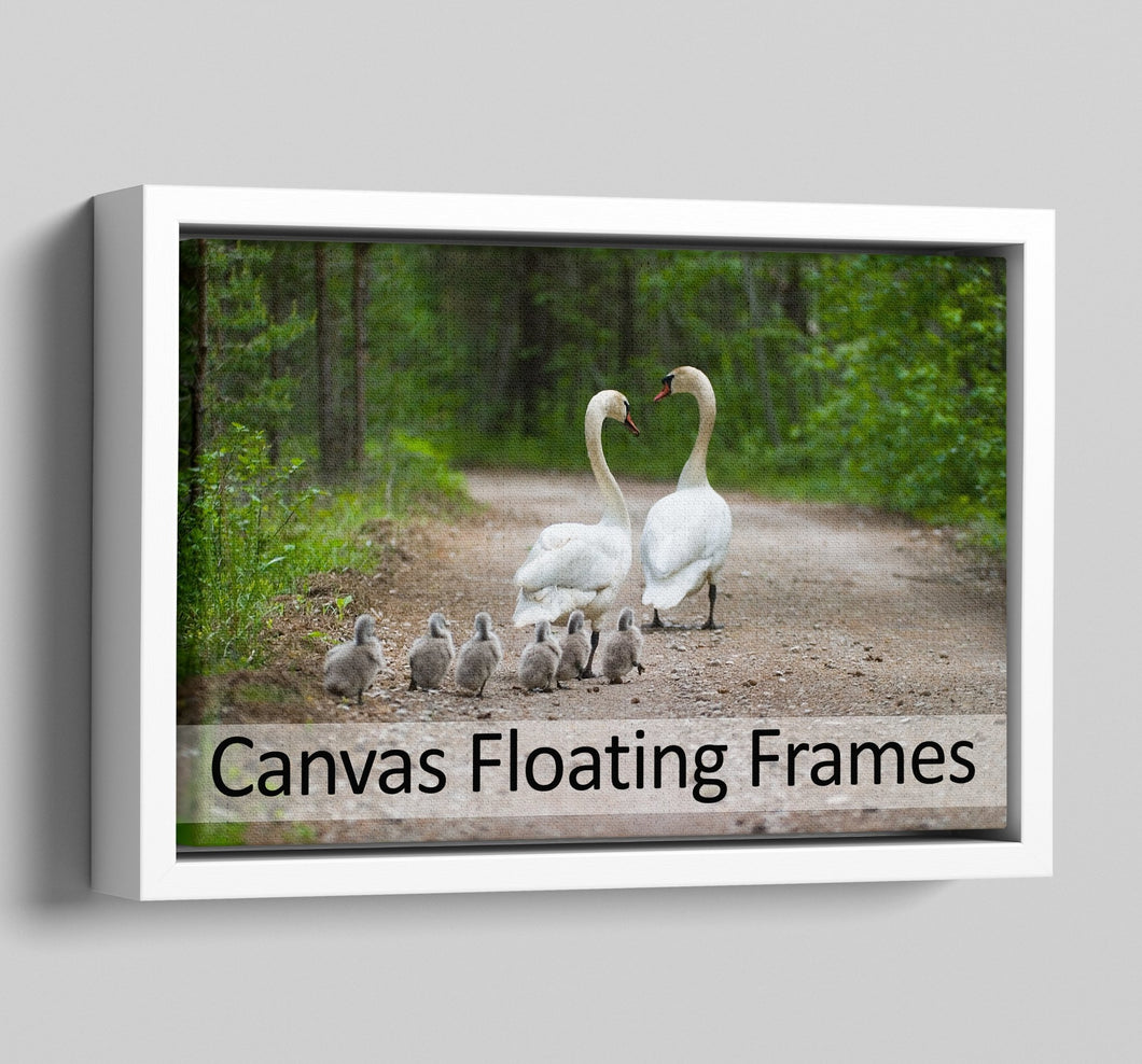 canvas Floater Frames | Floating Canvas Tray Frames | 40mm Deep in White - Multi Photo Frames