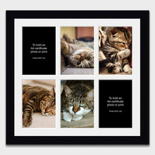 Load image into Gallery viewer, Picture Frame holds 6 A4 Certificates or Photos in a Black Wood Frame - Multi Photo Frames
